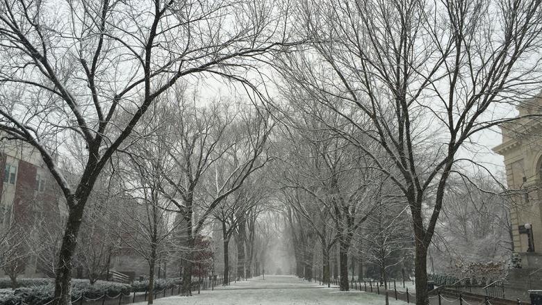 Snow - Old Main mall